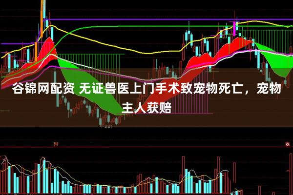 谷锦网配资 无证兽医上门手术致宠物死亡，宠物主人获赔
