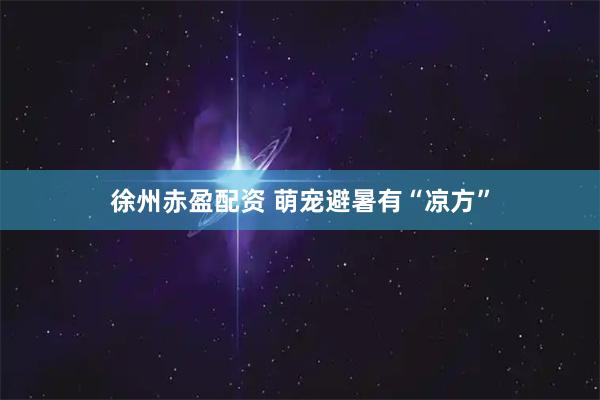 徐州赤盈配资 萌宠避暑有“凉方”